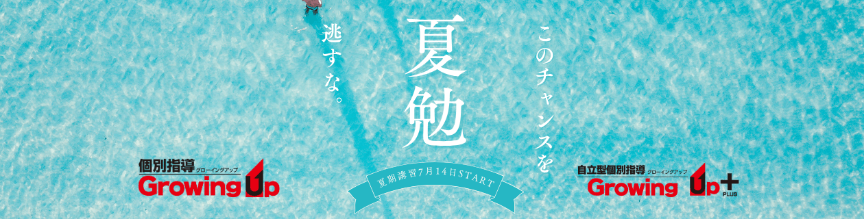 このチャンスを逃すな 夏勉